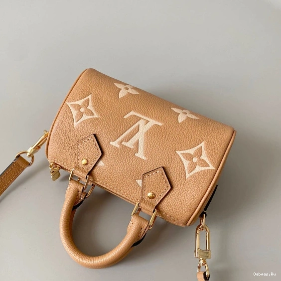 NANO VUITTON SPEEDY LOUIS 0113